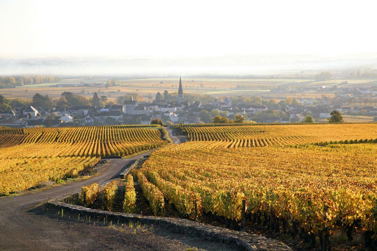 Clos Saint Jacques - Maison D'Hotes Meursault Zewnętrze zdjęcie